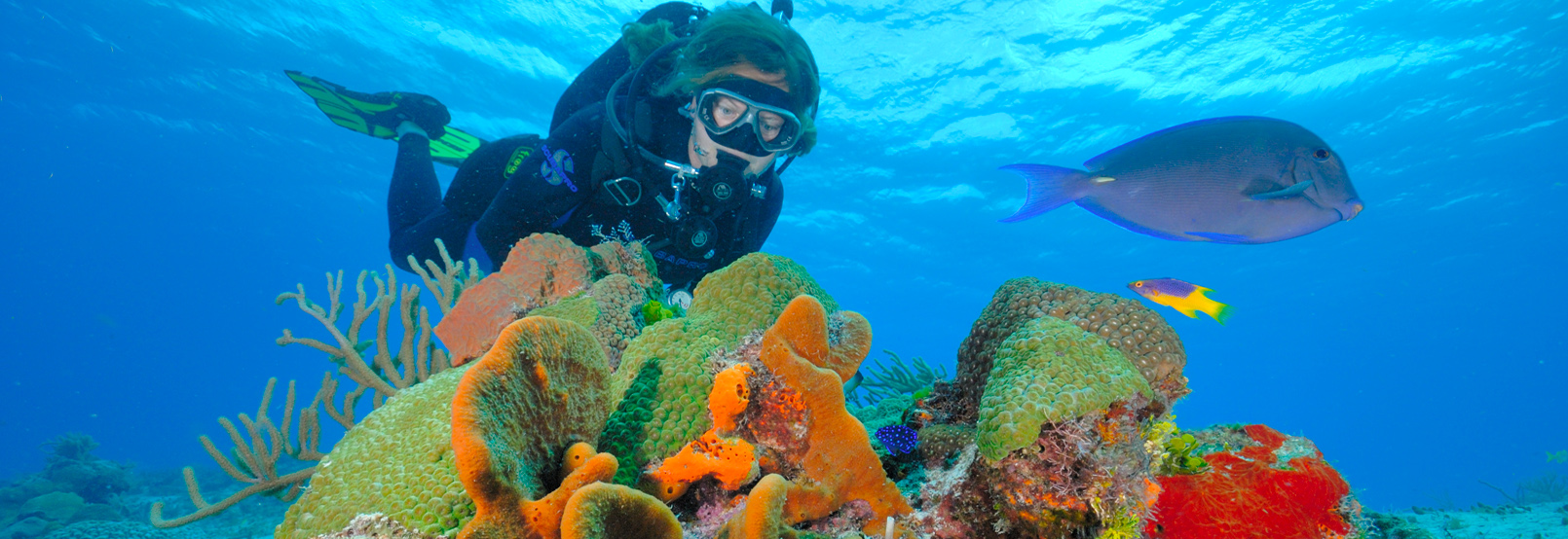 Aventura y Ecoturismo en cozumel